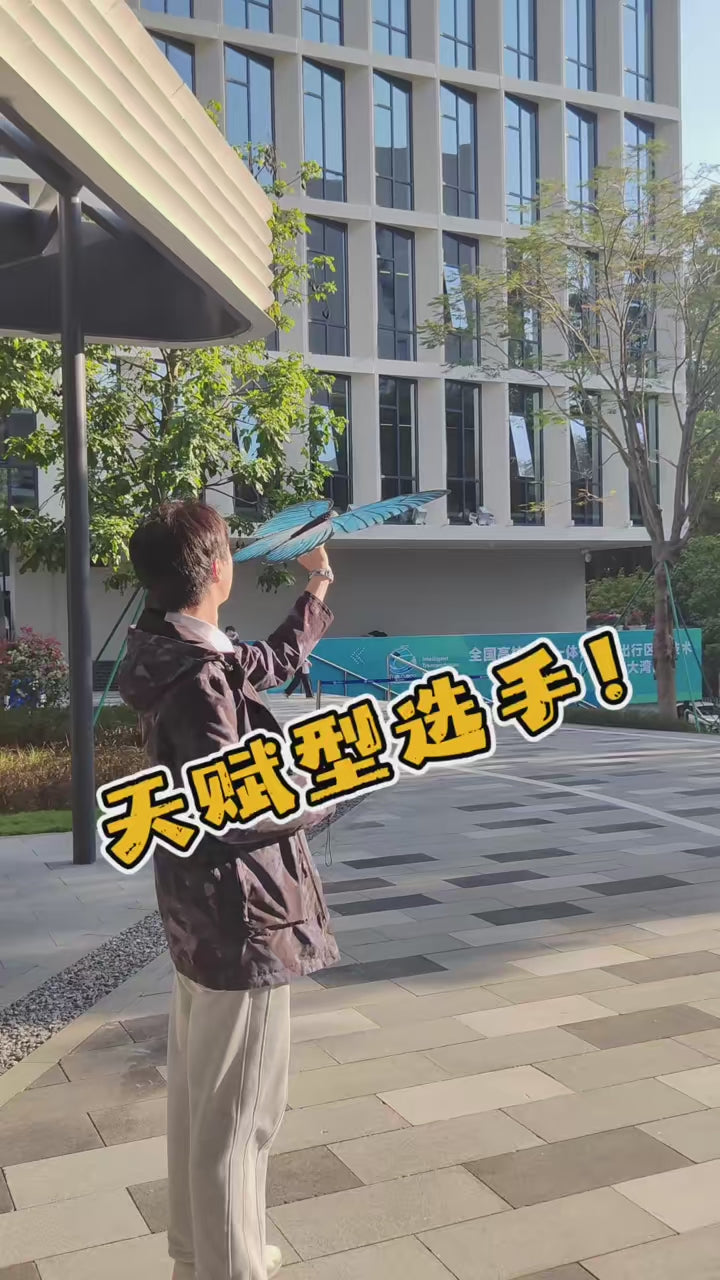 Remote-Controlled Bionic Butterfly